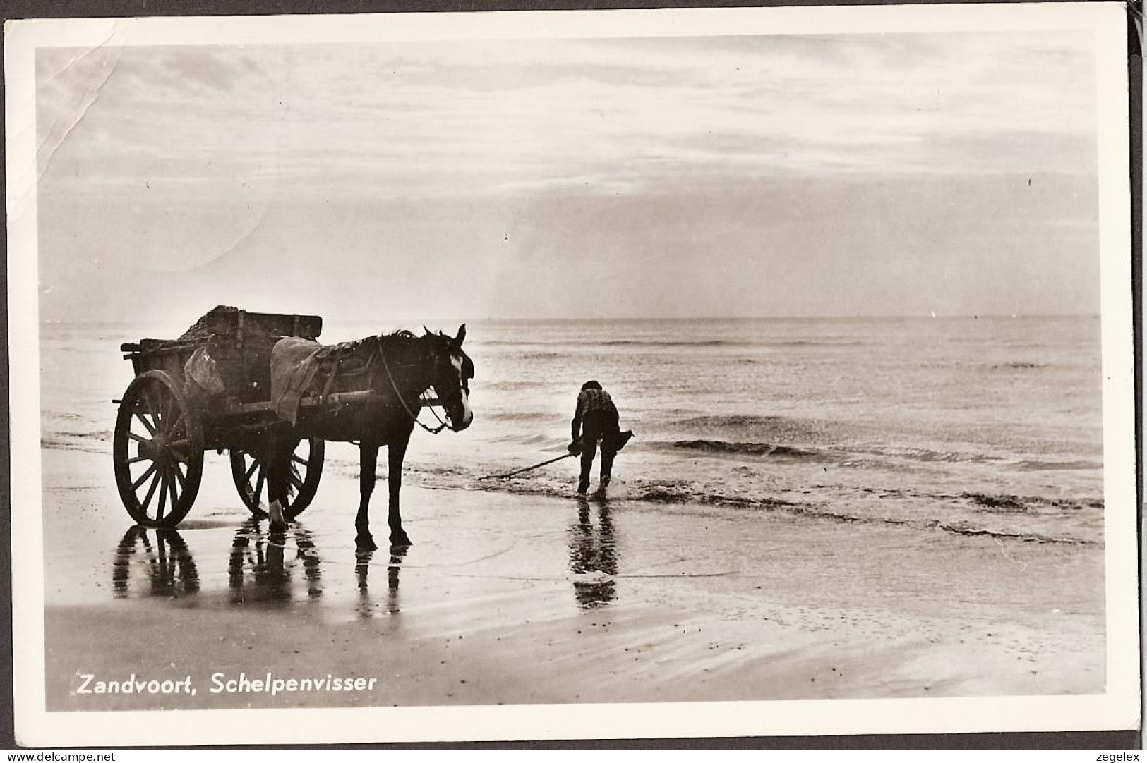 Zandvoort - Schelpenvisser Met Paard En Wagen - 1956 - Zandvoort