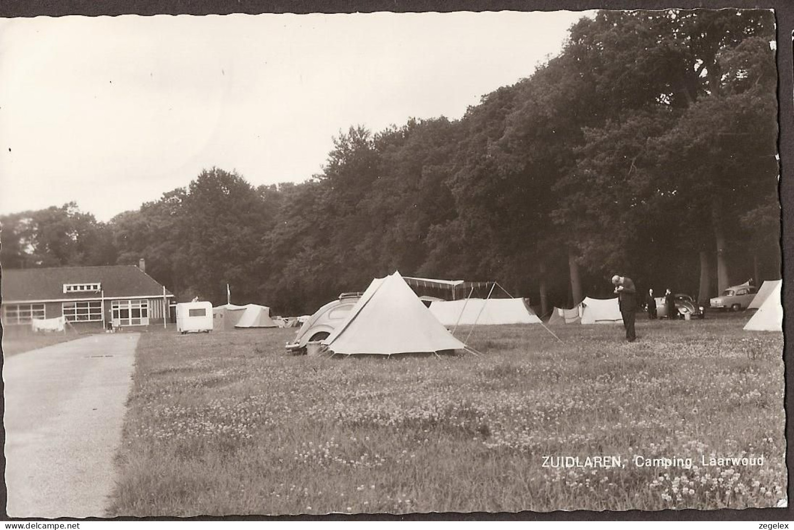 Zuidlaren - Camping Laarwoud -1964 - Zuidlaren