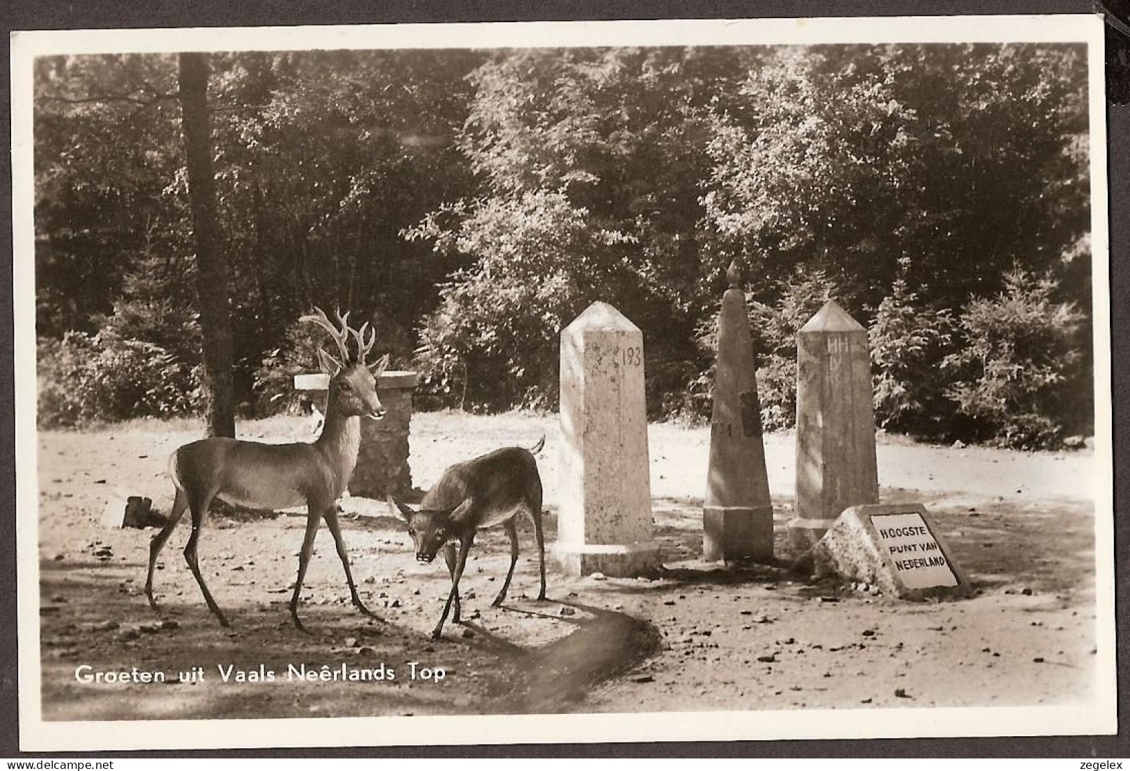 Vaals - Drielandenpunt - Met Hertjes (!) - Café "De Bokkenrijder" - 1957 - Vaals