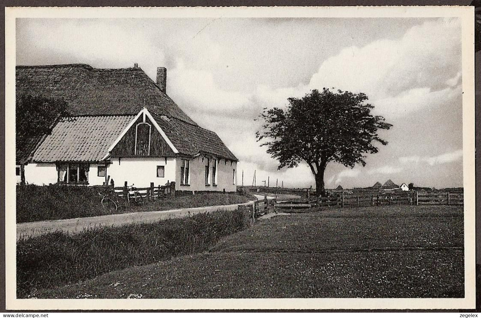 Texel - Hermanshoeve - Texel