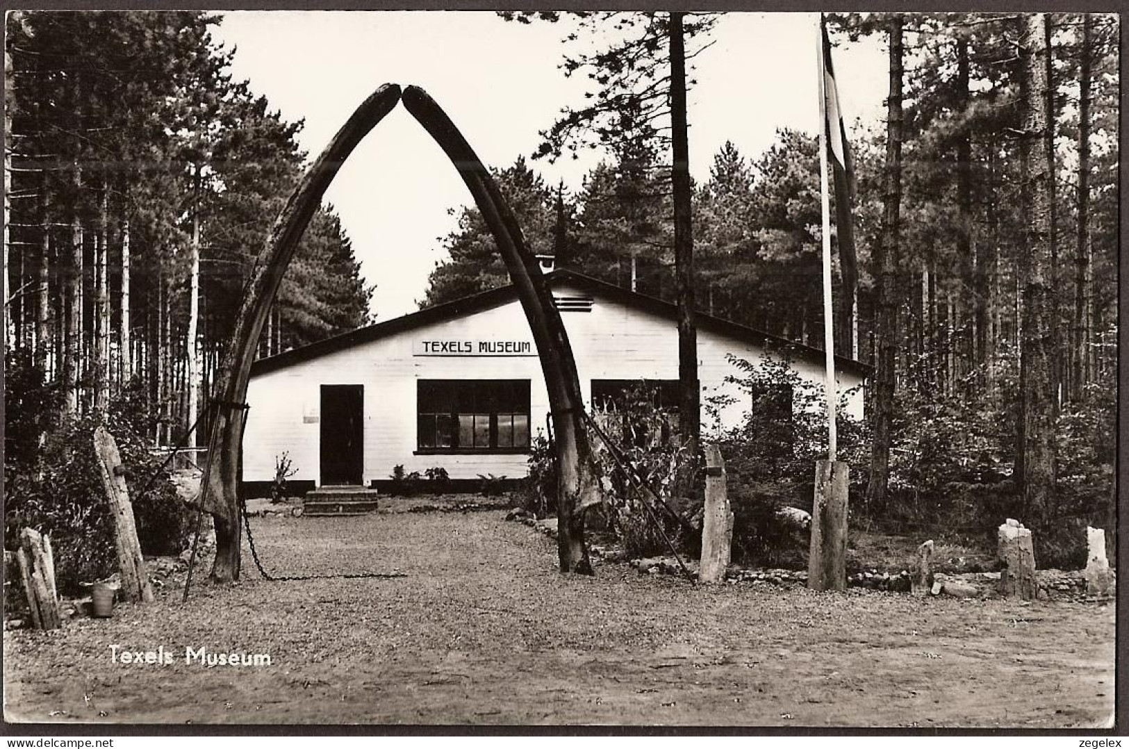 Texel - Doorkijk Naar Zee - 1958 - Texel