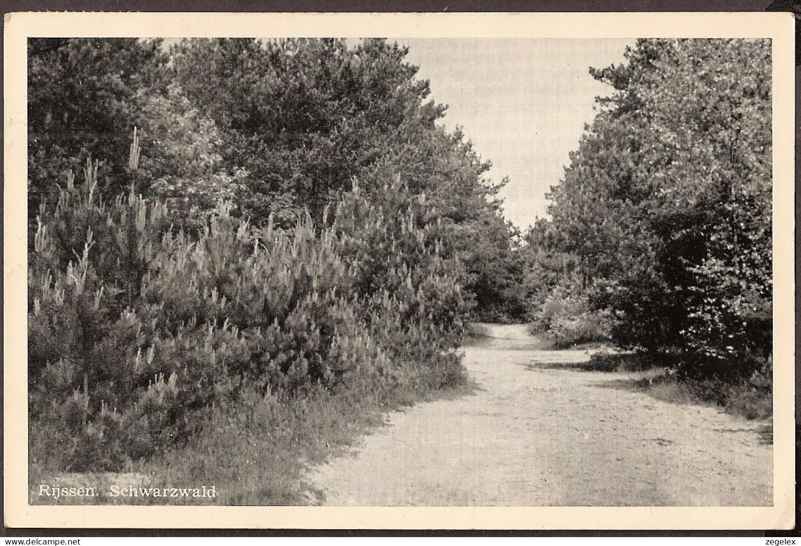 Rijssen (Overijssel) - Schwarzwald - 1955 - Rijssen