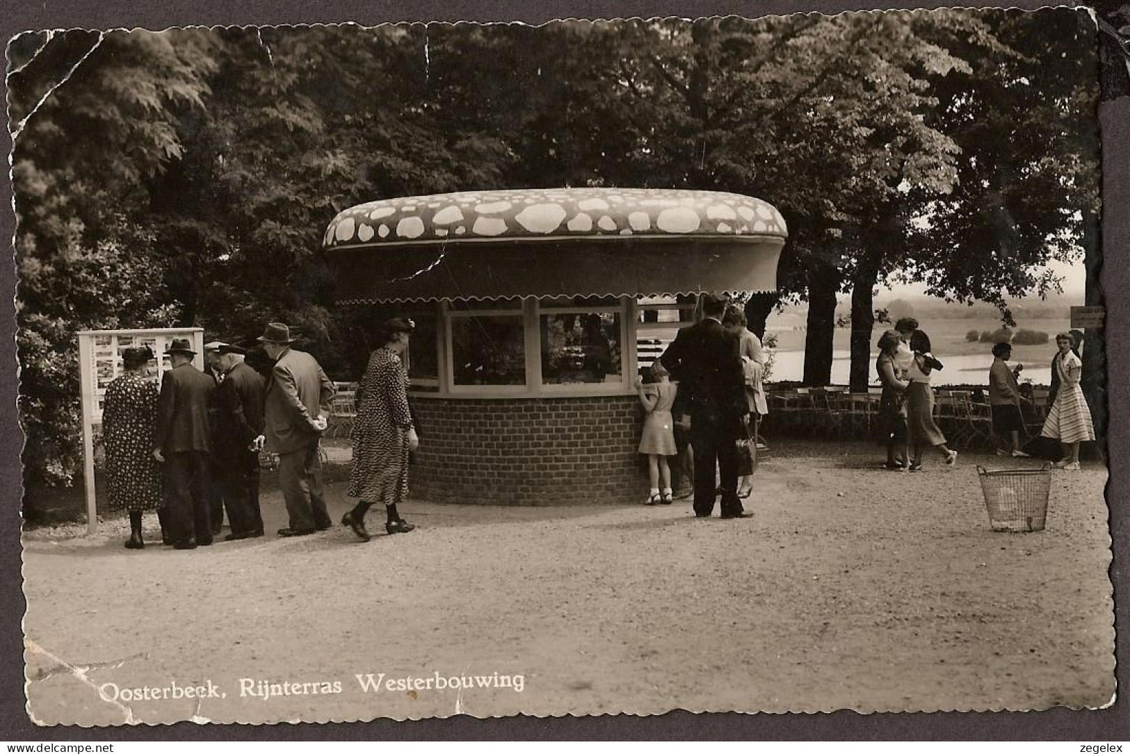 Oosterbeek (nu Gemeente Renkum)  - Rijnterras Westerbouwing - 1956 - Oosterbeek