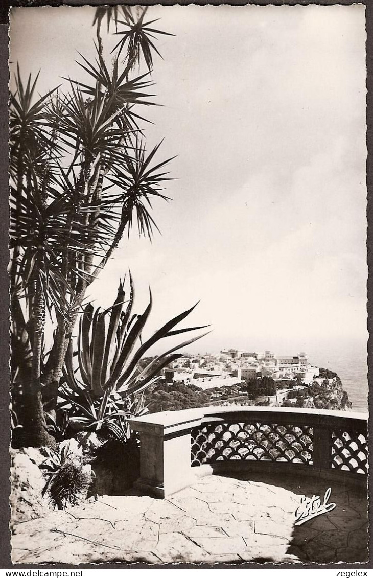 Monaco - Le Rocher Vu De La Terrasse Du Jardin Exotique - 1949 - Terrassen