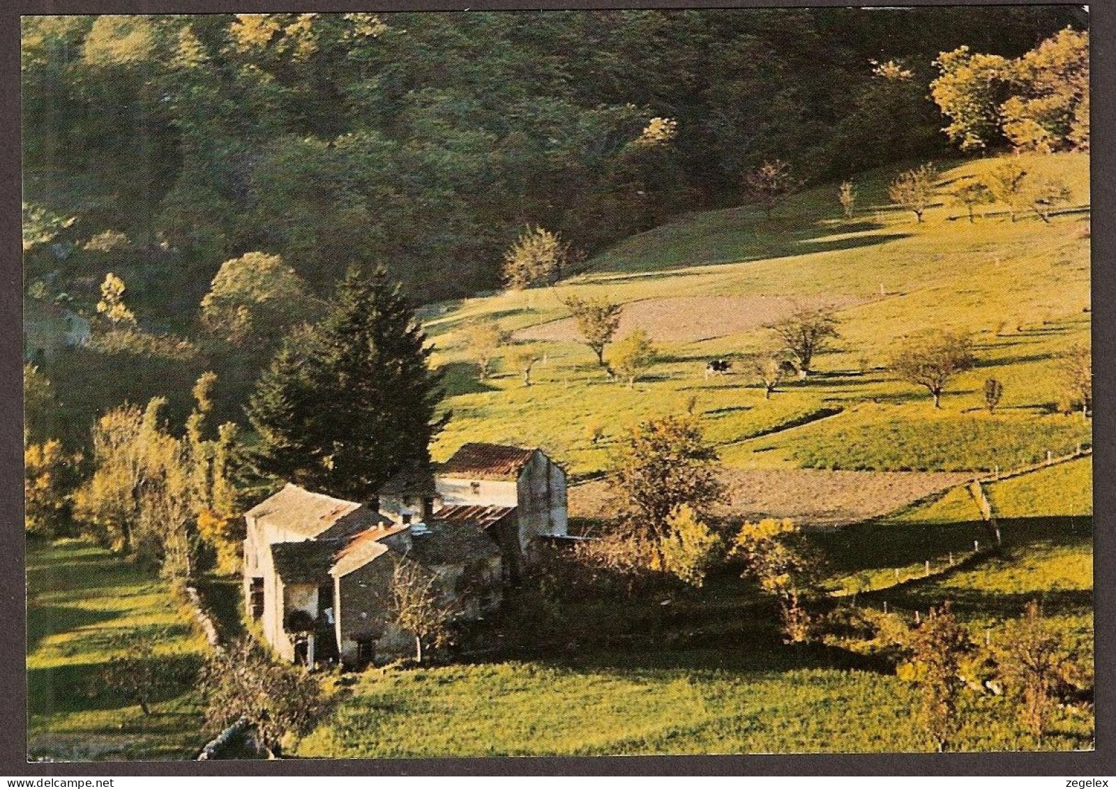 St-Pons - Campagne De Brassac - Près De St-Pons - Parc Naturel Regional Du Haut-Languedoc - 1984 - Saint-Pons-de-Thomières