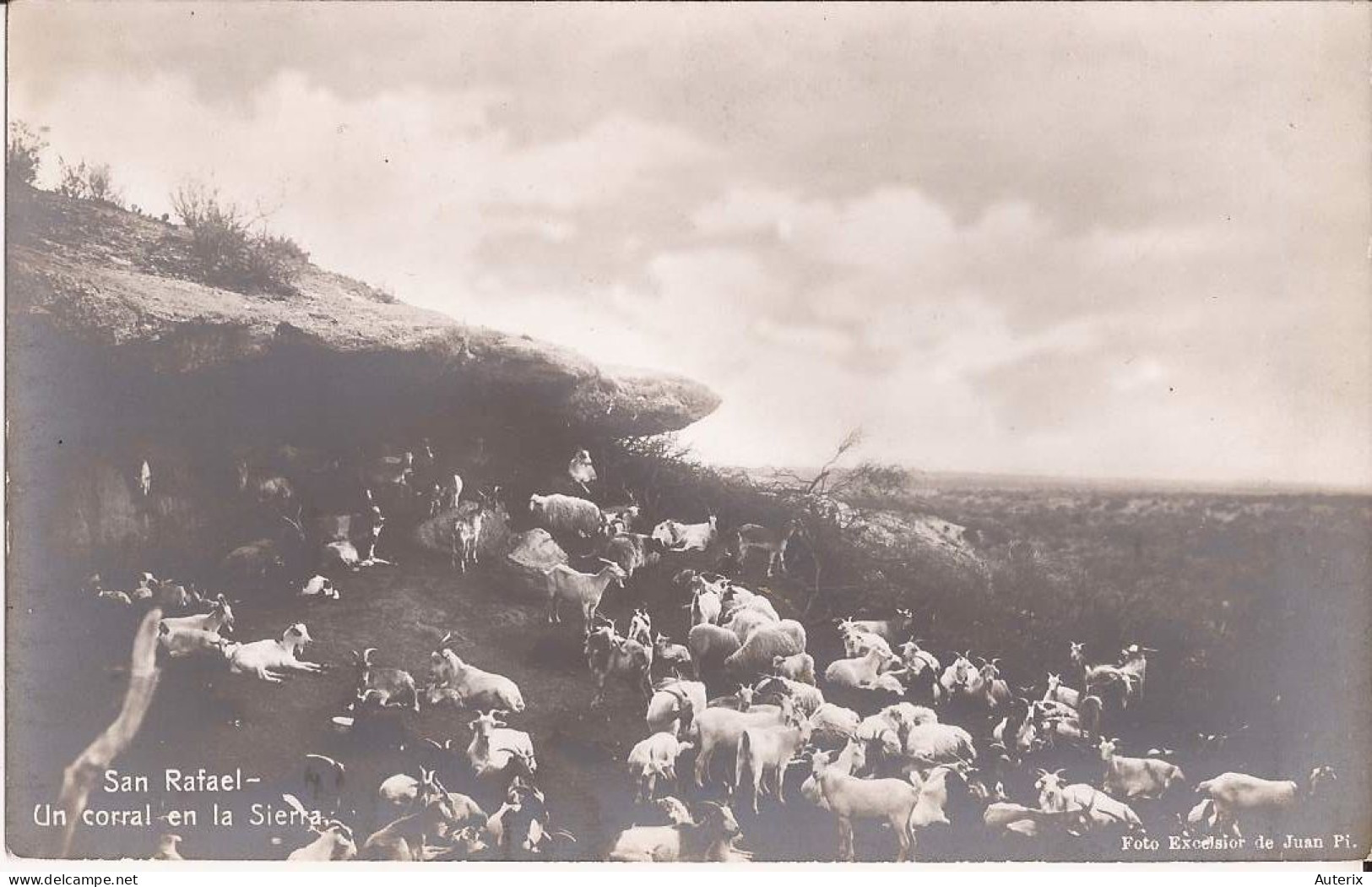 Argentine San Rafael Un Corral En La Sierra Cabra Chevre Goat - Argentinien