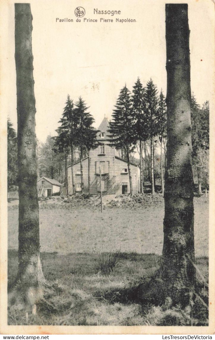 BELGIQUE - Nassogne - Pavillon Du Prince Pierre Napoléon  - Carte Postale Ancienne - Nassogne