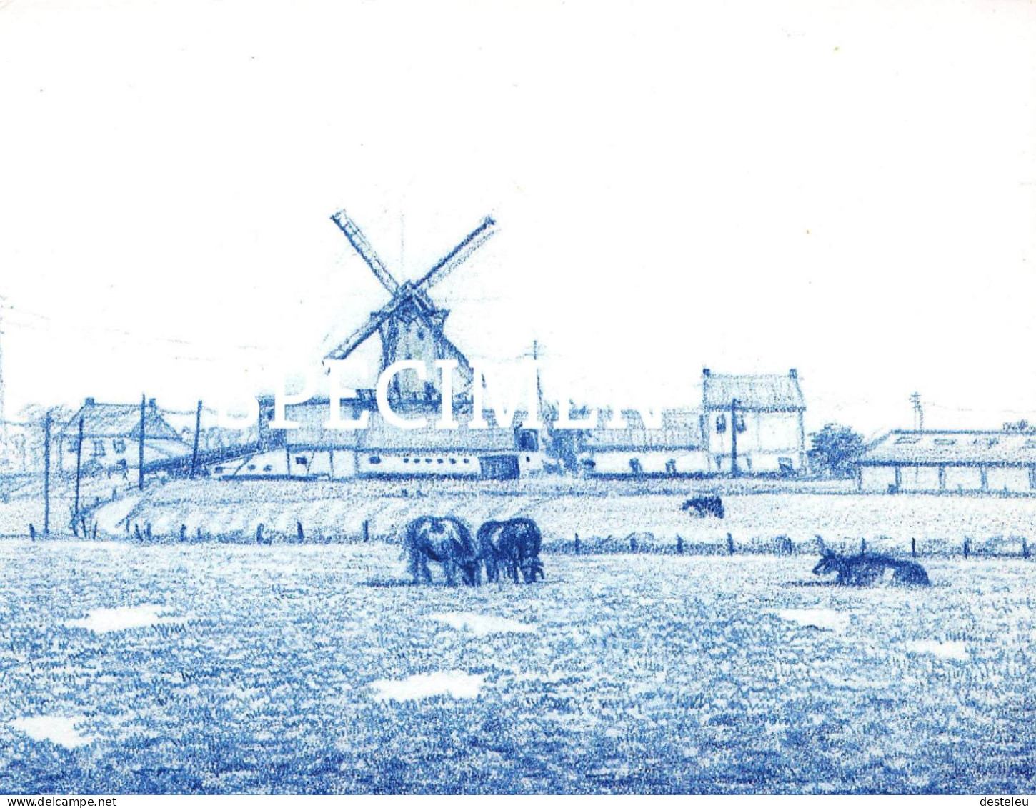 De Grote Macht Of De Witte Molen - Moorsele - Wevelgem