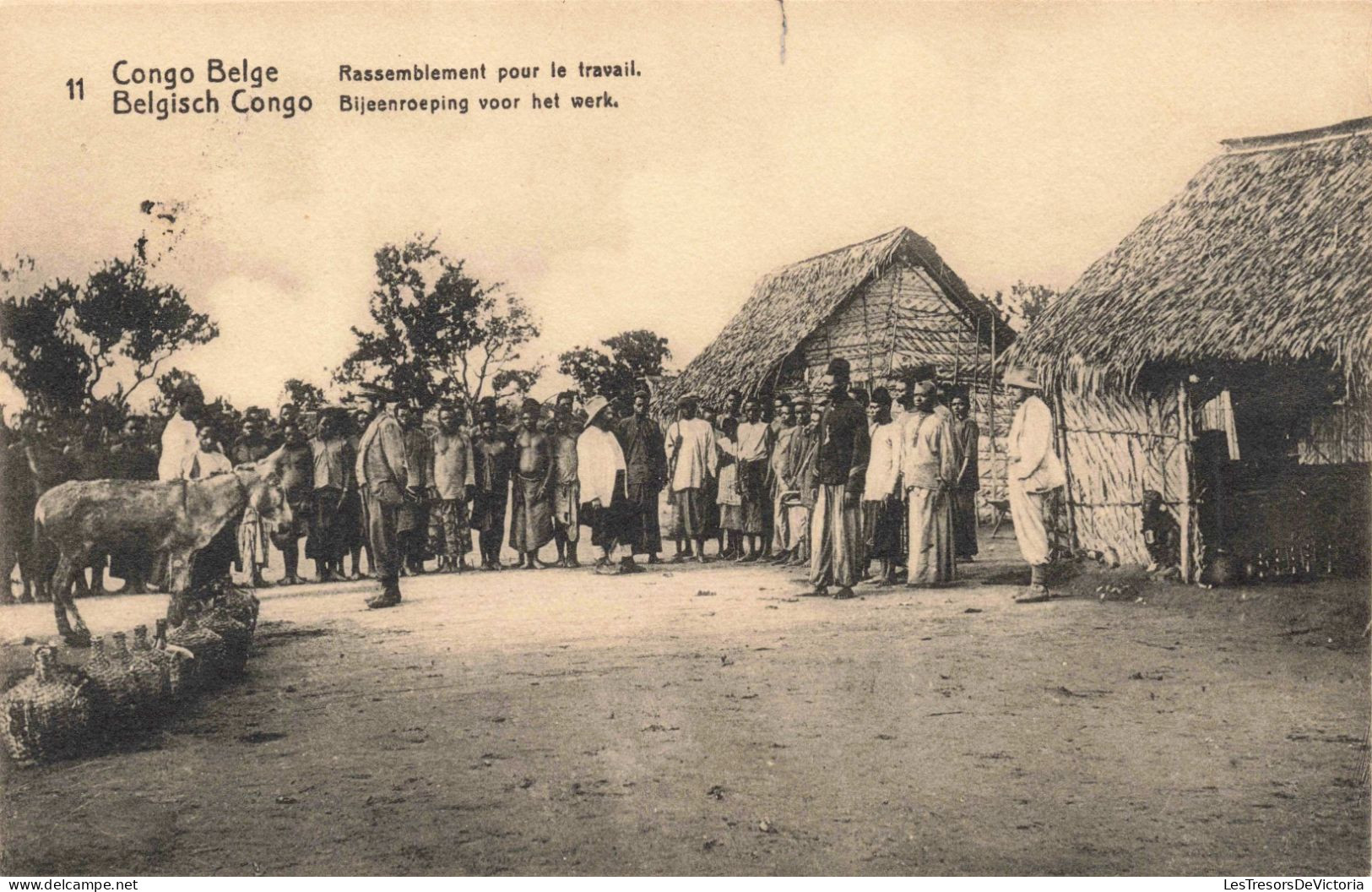 CONGO - Rassemblement Pour Le Travail - Carte Postale Ancienne - Belgian Congo
