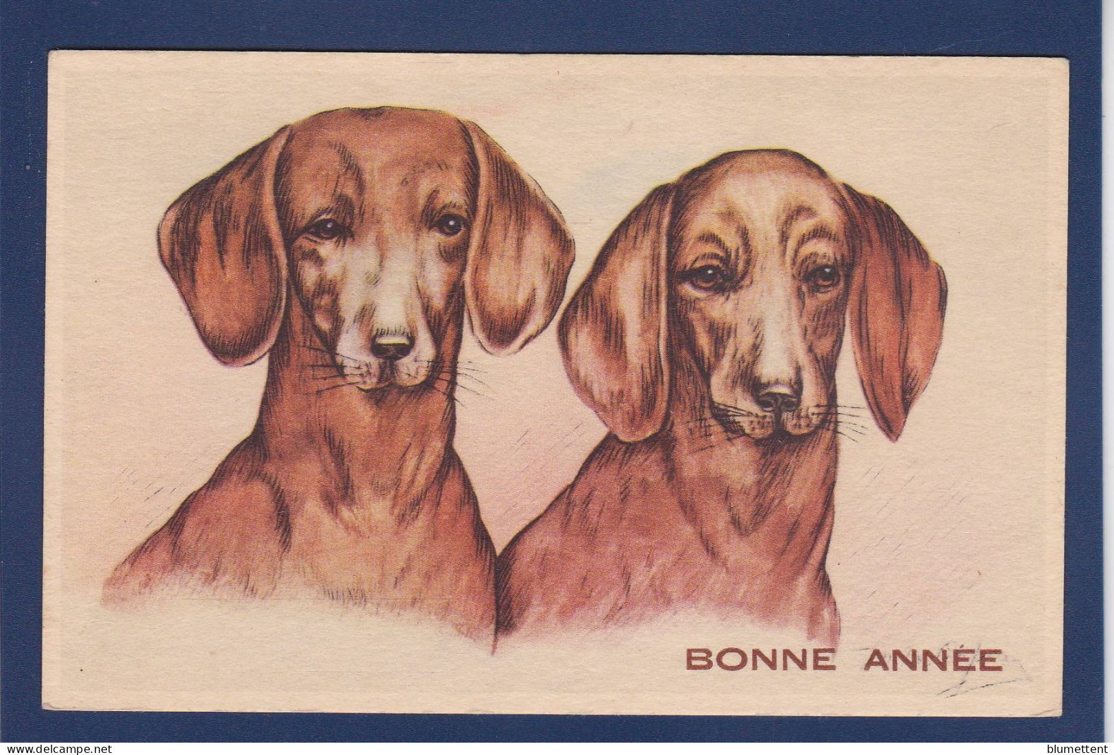 CPA 1 Euro Chien Teckel Dackel Dachshund Non Circulé Prix De Départ 1 Euro - Dogs