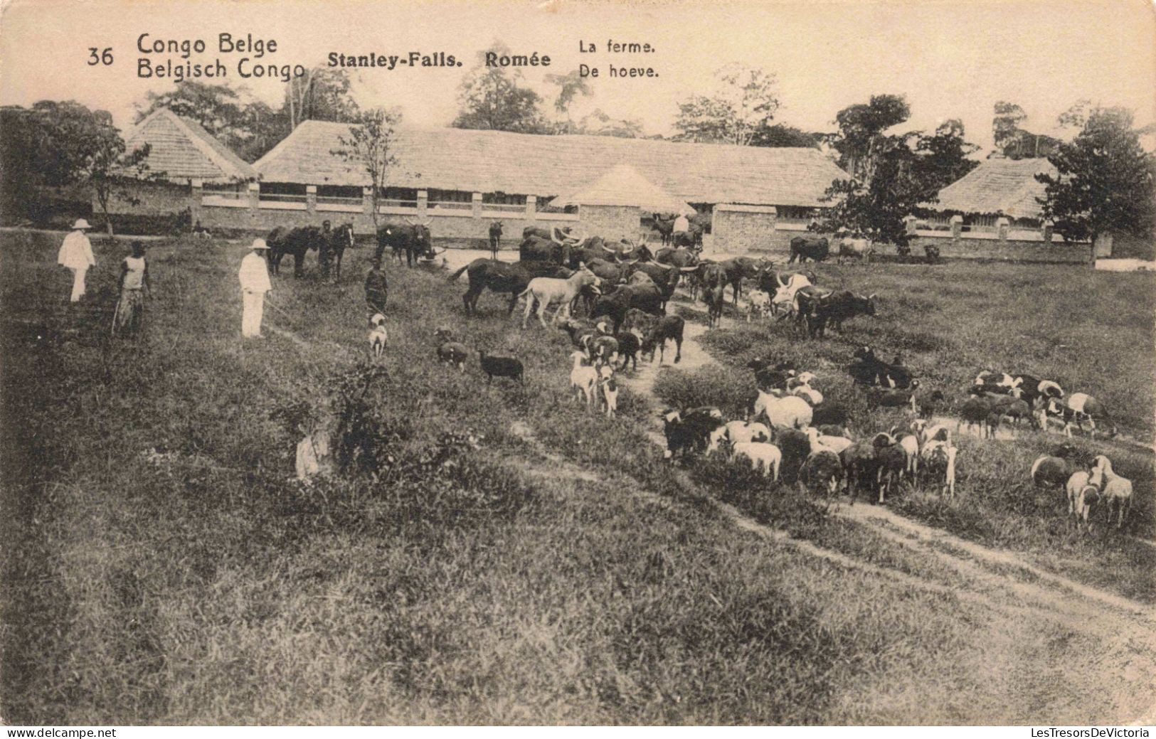 CONGO - Stanley Falls - Romée - La Ferme - Carte Postale Ancienne - Congo Belge