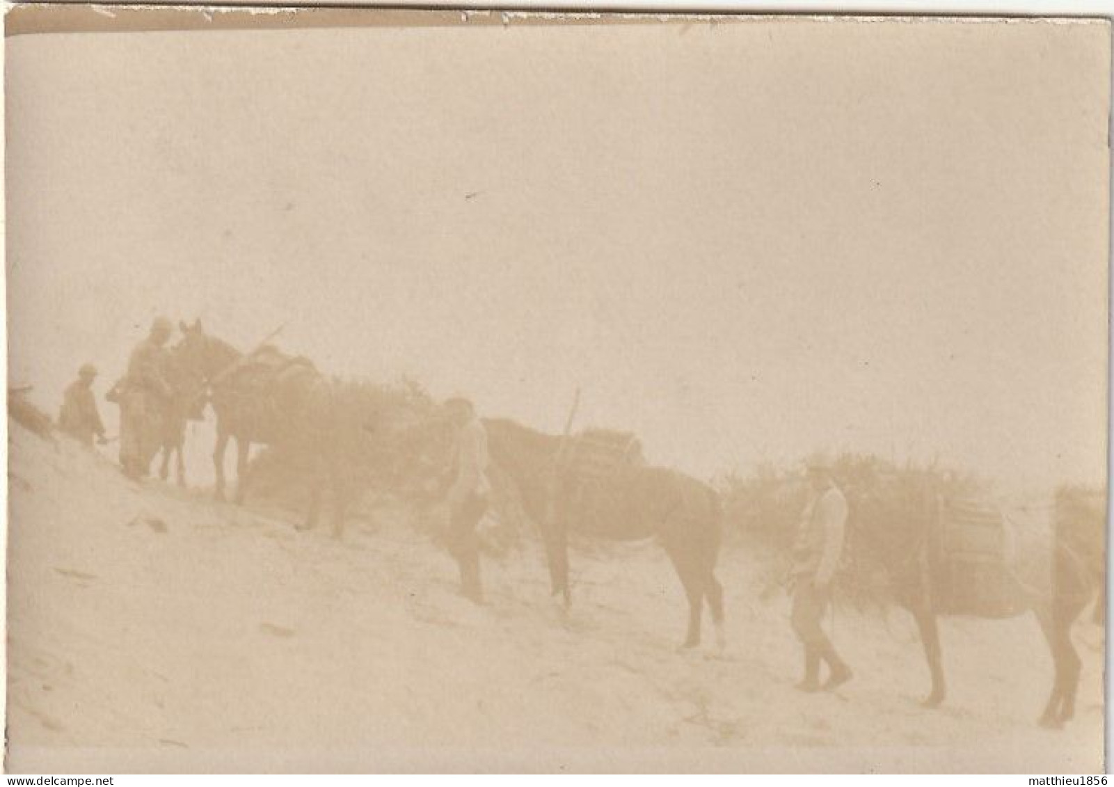 Photo 14 18 KOKSIJDE (Coxyde) - Troupes Belges Dans Les Dunes, Cavaliers (A252, Ww1, Wk 1) - Koksijde