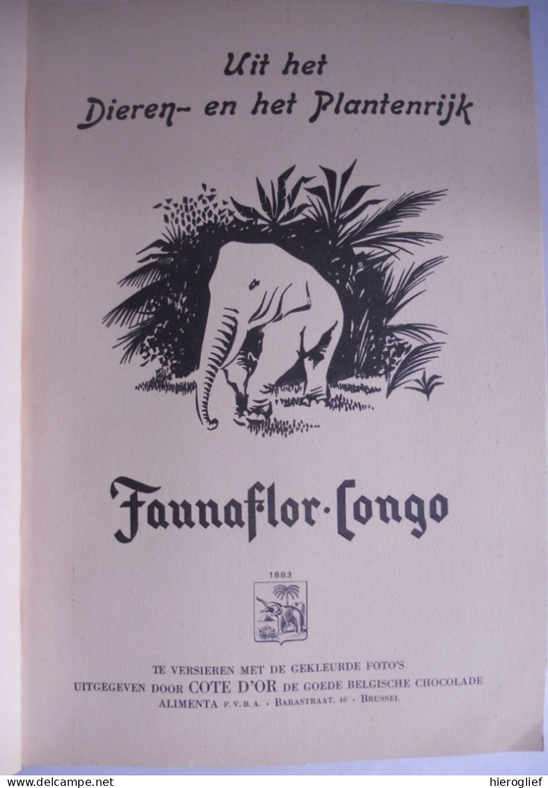 FAUNAFLOR CONGO - I - Album Côte D'or Compleet Met Alle Chromo's Kongo Zaïre Afrika Fauna Flora - Côte D'Or