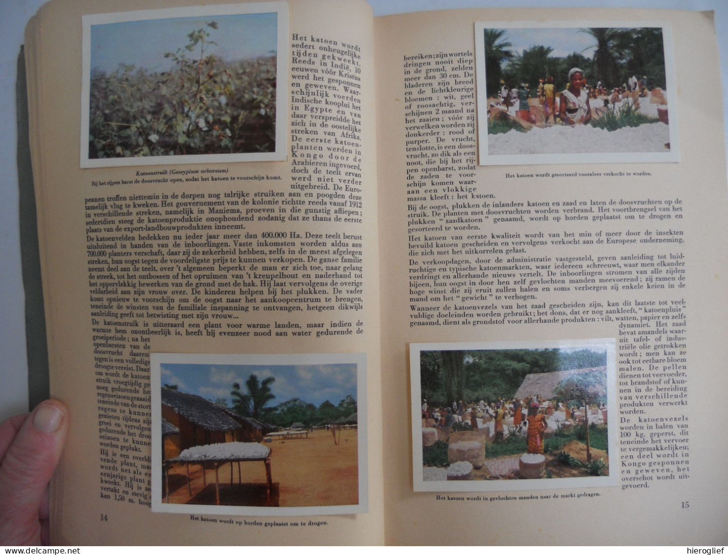 FAUNAFLOR CONGO - I - Album Côte D'or Compleet Met Alle Chromo's Kongo Zaïre Afrika Fauna Flora - Côte D'Or