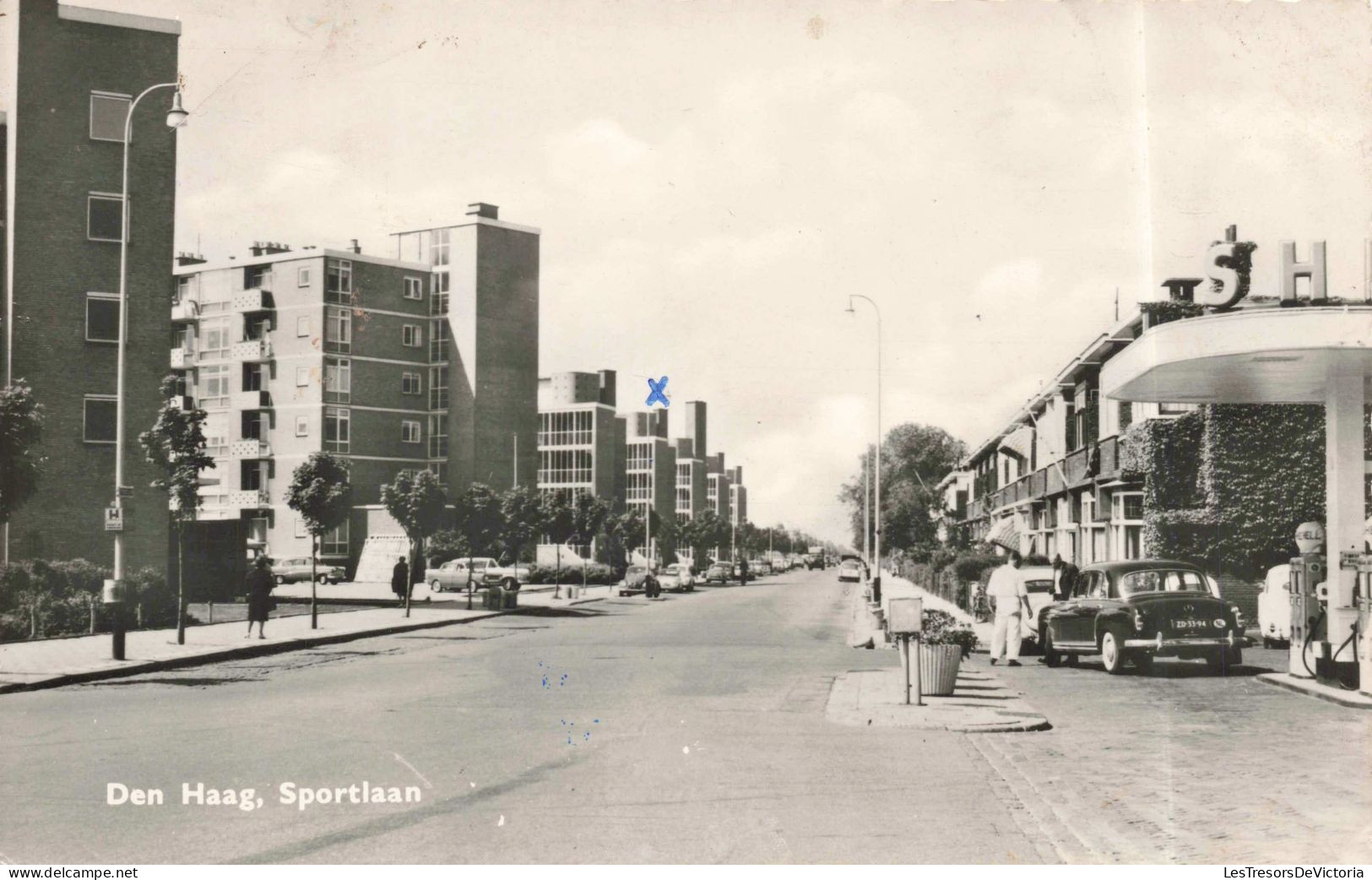 PAYS BAS - Zuid Holland - Den Haag - Sportlaan - Carte Postale Ancienne - Autres & Non Classés