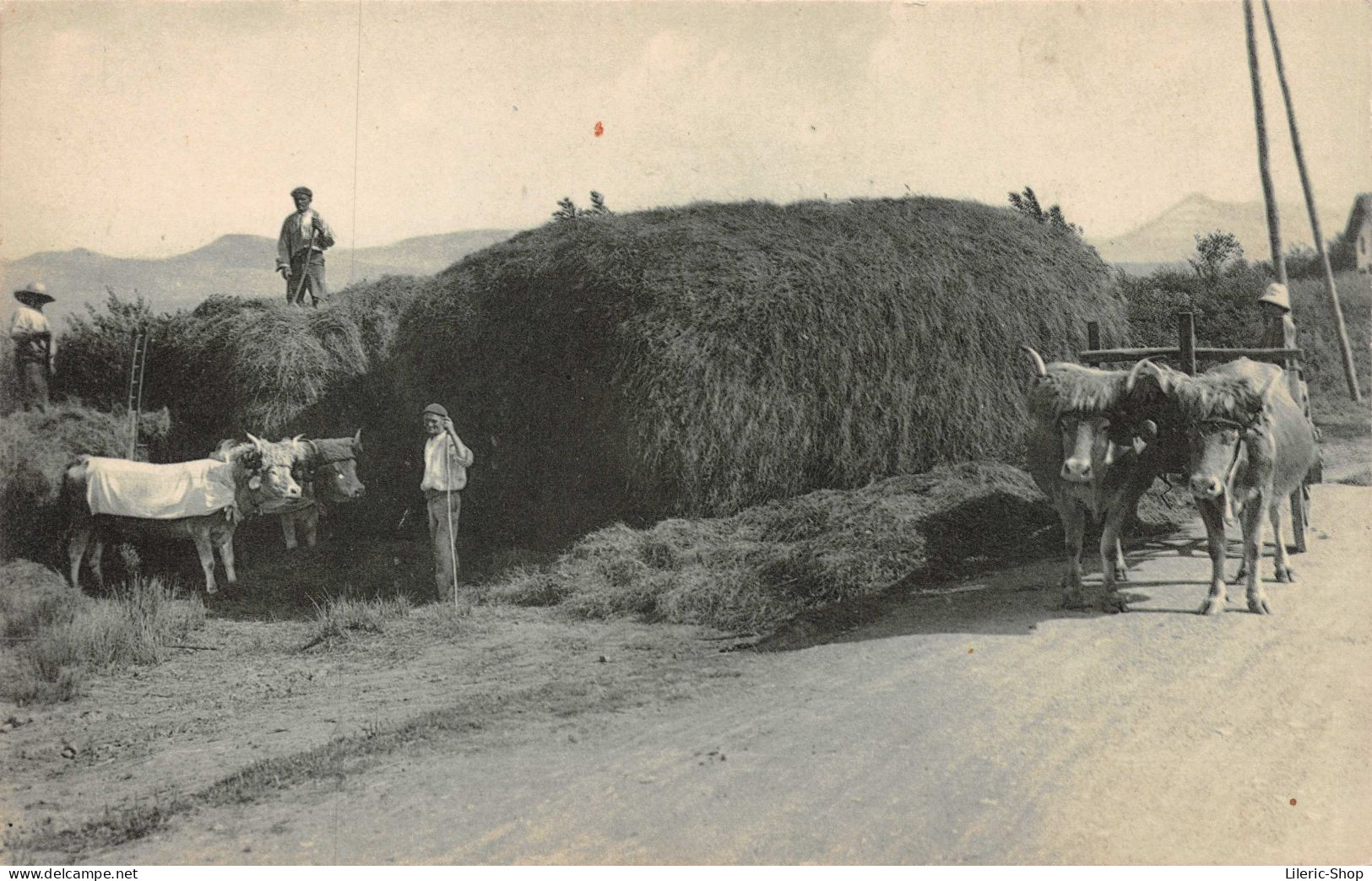 # Agriculture # Métier # Paysan # La Fenaison Au Pays Basque - Attelages De Bœufs M. D - Paysans