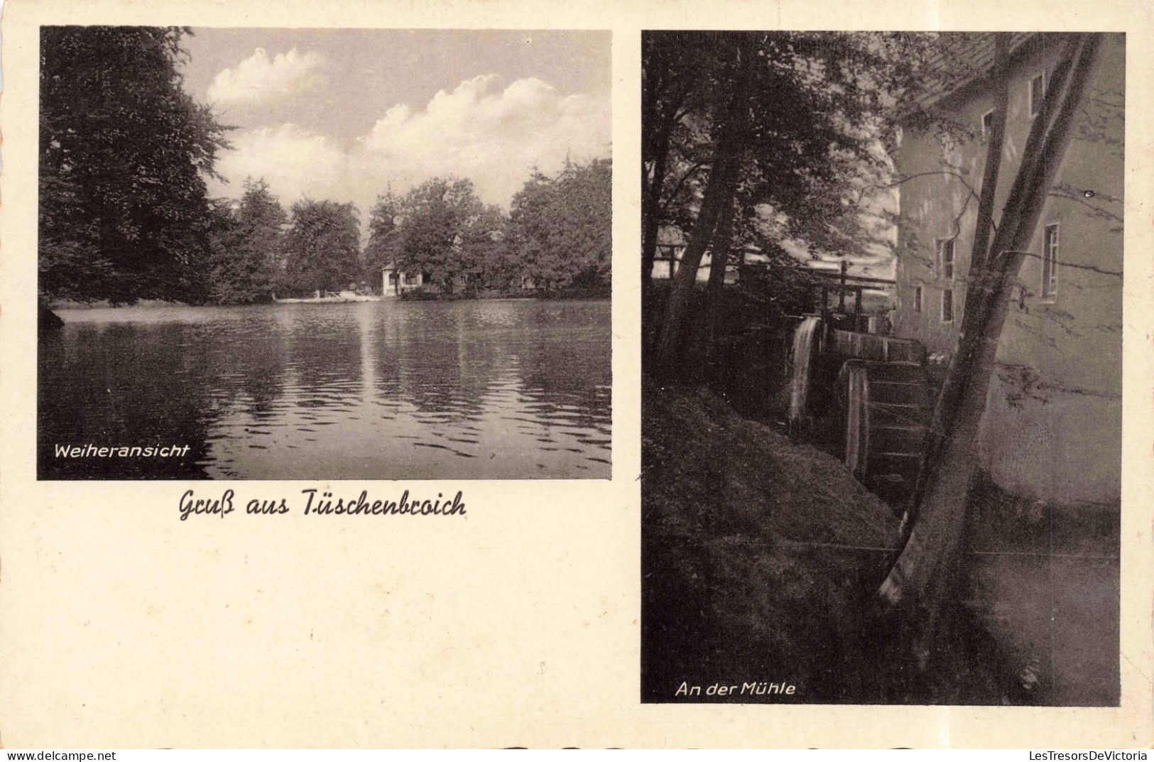 PHOTOGRAPHIE - Vue De L'étang -  Au Moulin - Carte Postale Ancienne - Photographie