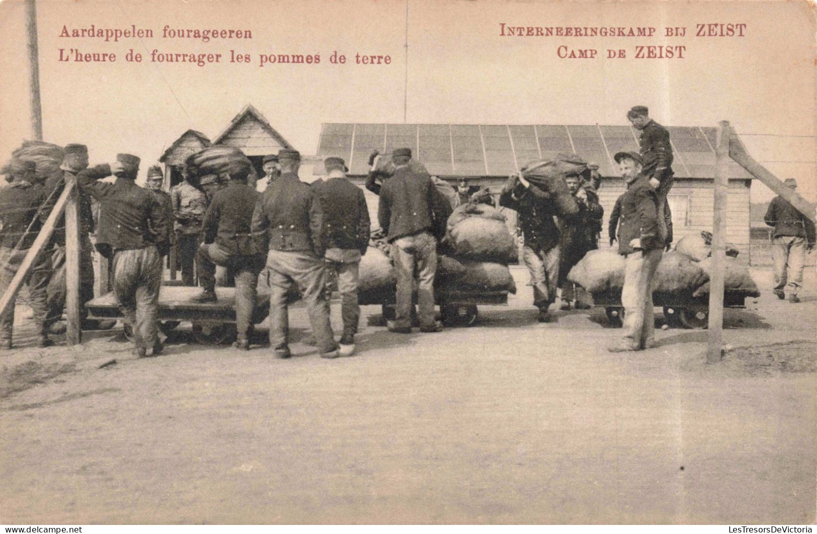 PAYS BAS - Zeist - L'heure De Fourrager Les Pommes De Terre - Carte Postale Ancienne - Zeist