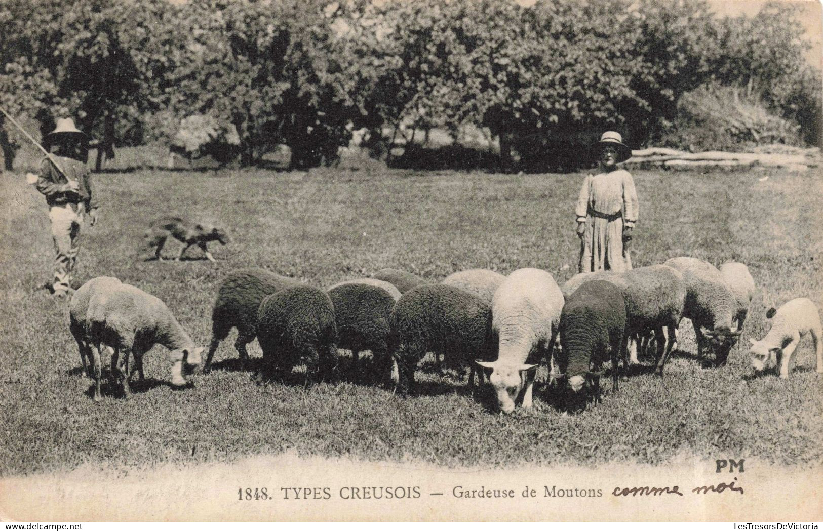 PHOTOGRAPHIE - Types Creusois - Gardeuse De Moutons - Carte Postale Ancienne - Photographie