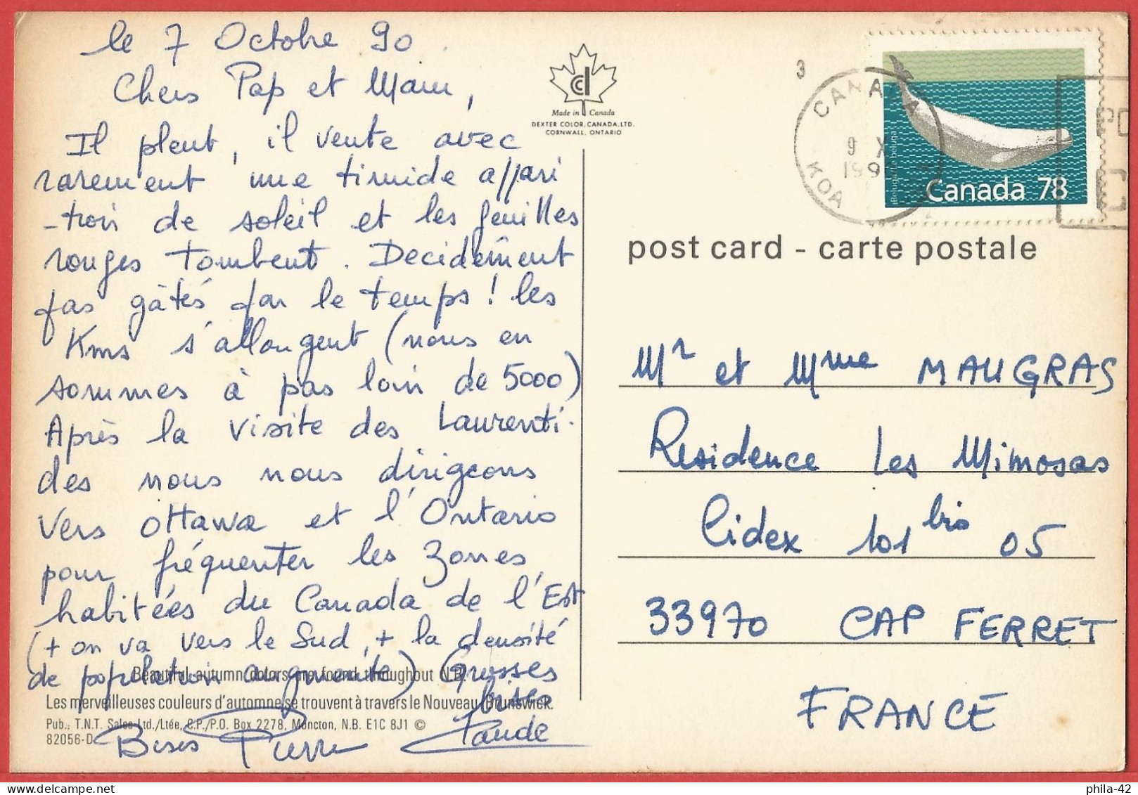 Canada - New Brunswick : Chapelle Et Couleurs D'automne - Carte écrite 1990 BE - Other & Unclassified