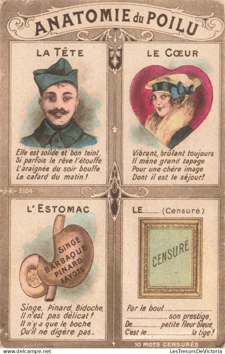 FANTAISIES - Anatomie Du Poilu - Colorisé  - Carte Postale Ancienne - Men