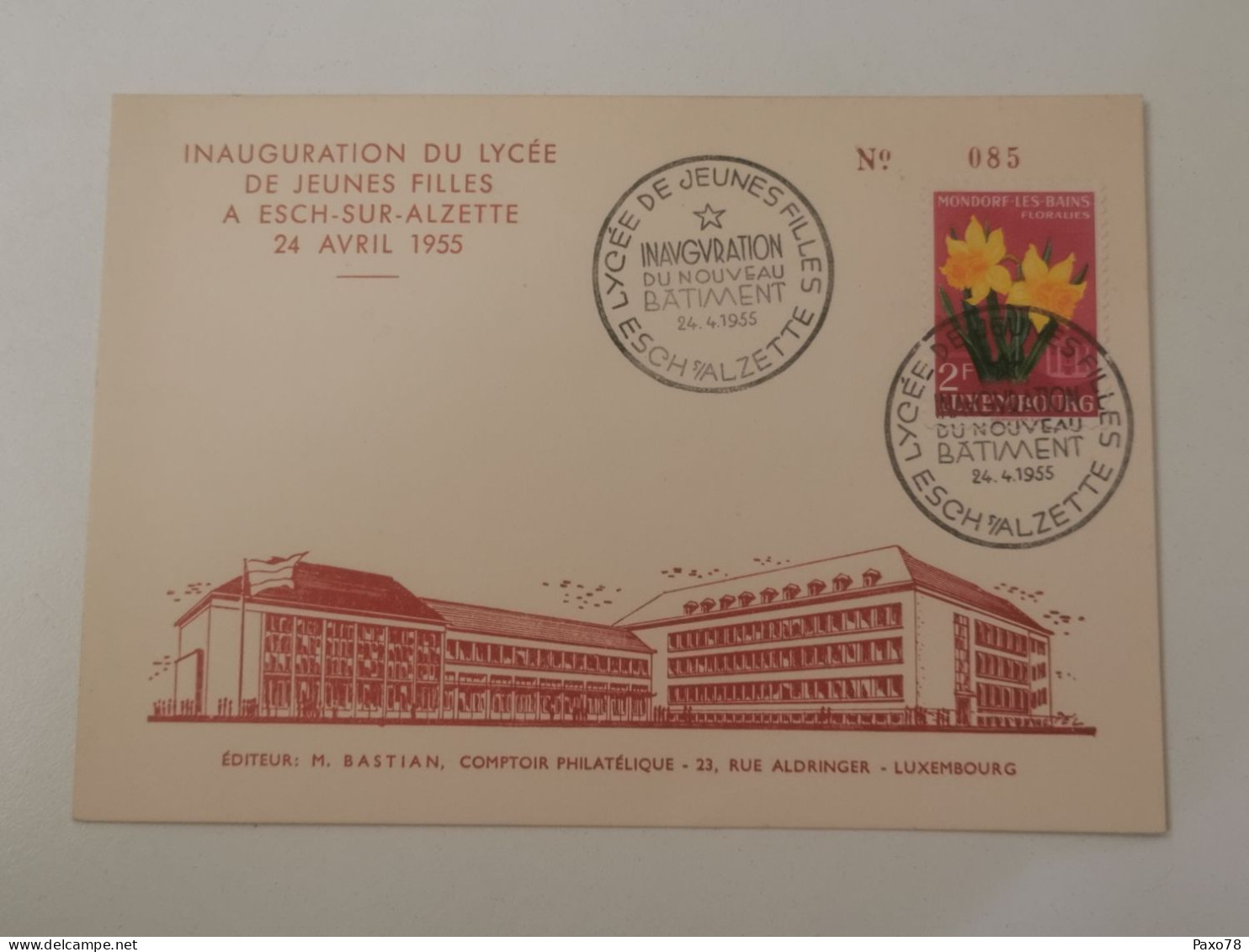 Inauguration Du Lycée De Jeunes Filles à Esch-Alzette 1955 - Commemoration Cards