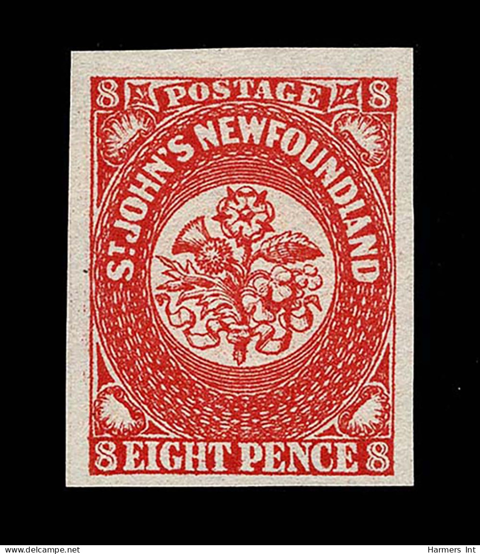 Lot # 266 Newfoundland 8 Pence Type A - Other & Unclassified