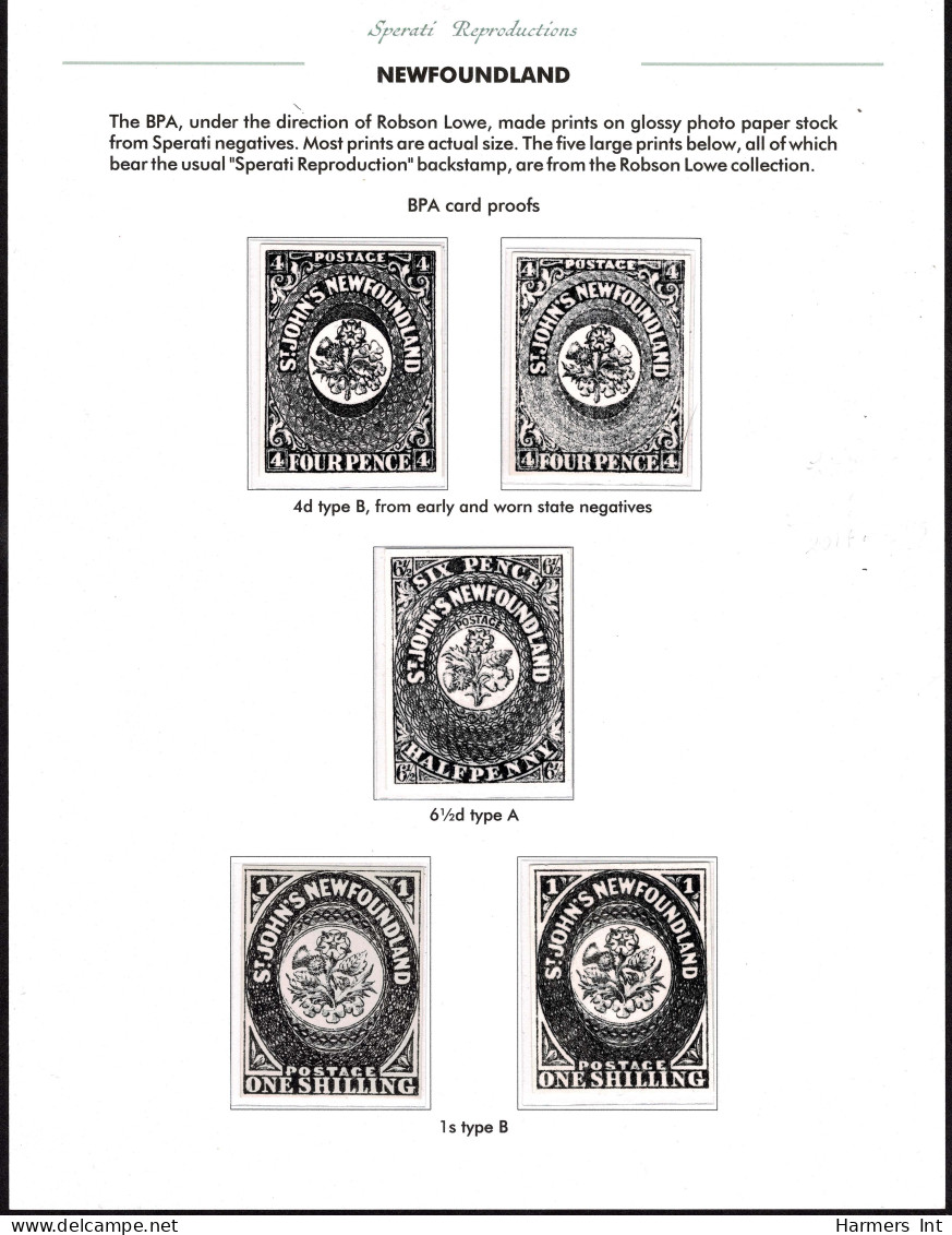 Lot # 275 Newfoundland: Five Different Large Prints Of The 4d To 1s. - Otros & Sin Clasificación