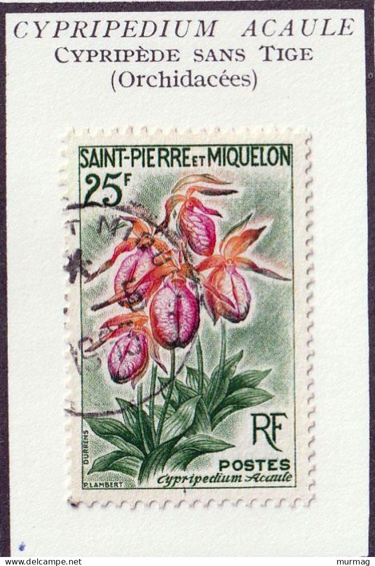 SAINT-PIERRE-ET-MIQUELON - Fleurs, Flowers, Orchidée, Cypripède Sans Tige - Y&T N° 362 - 1962 - Oblitéré - Gebraucht