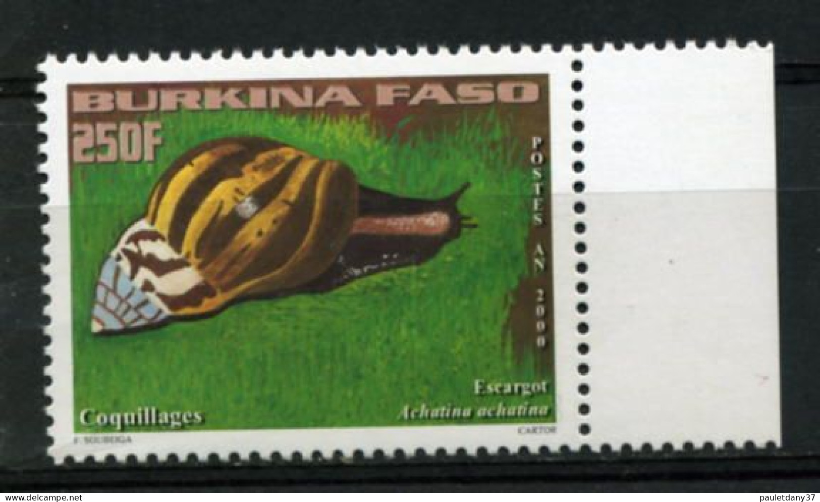 BURKINA FASO : YT 1247 Escargot - Burkina Faso (1984-...)
