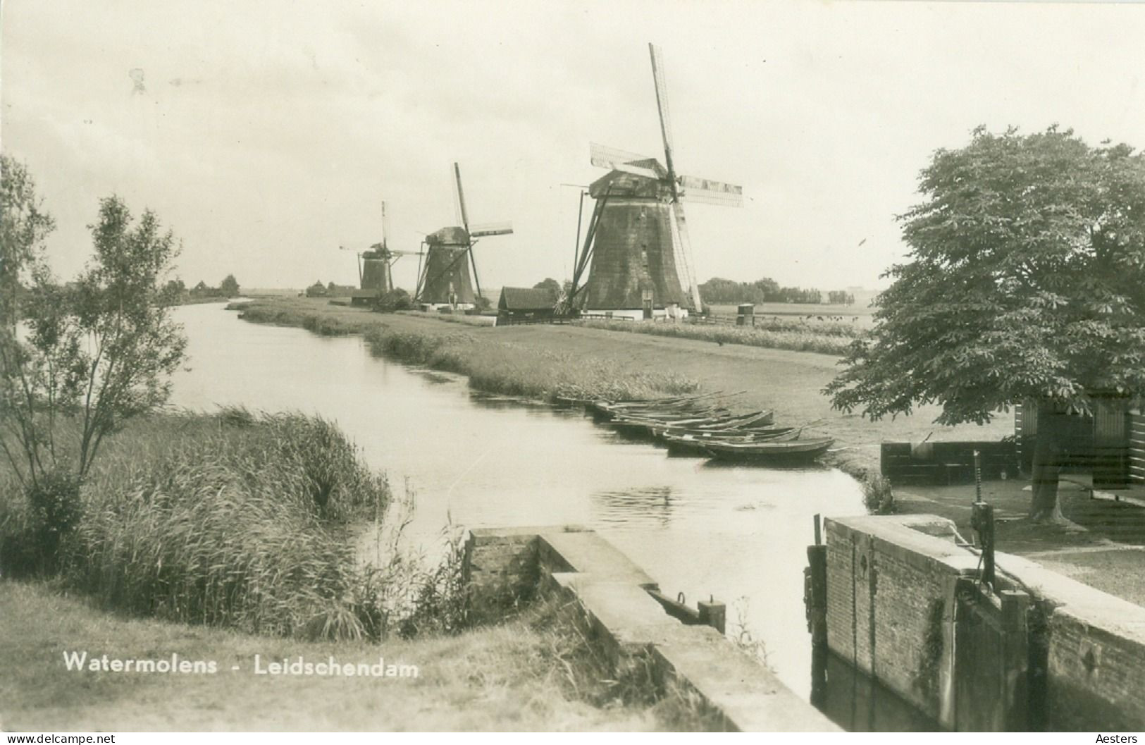 Leidschendam 1959; Molens (bij Stompwijk) - Gelopen. - Leidschendam