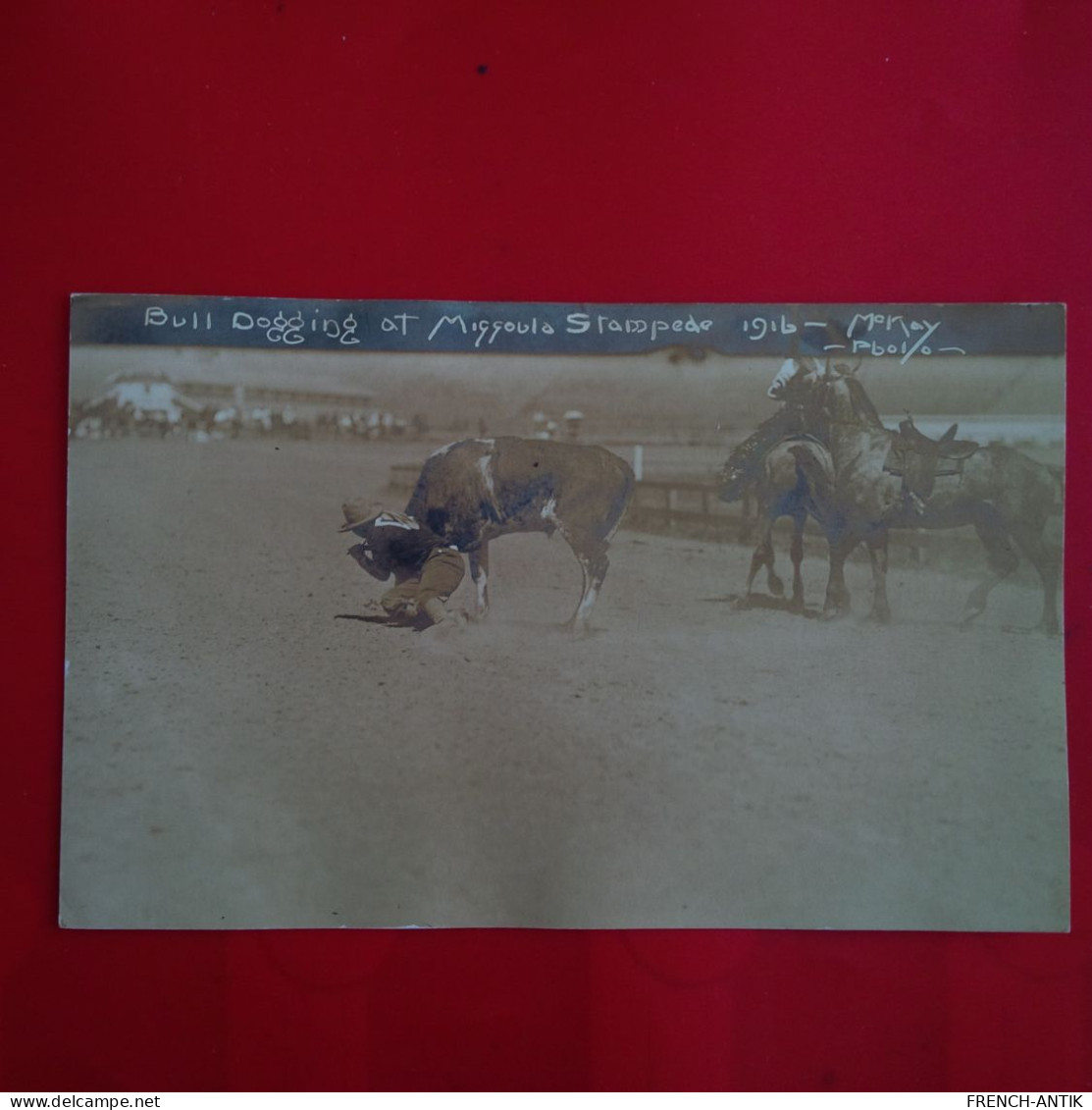 CARTE PHOTO MISSOULA BULL DOGGING 1916 - Missoula