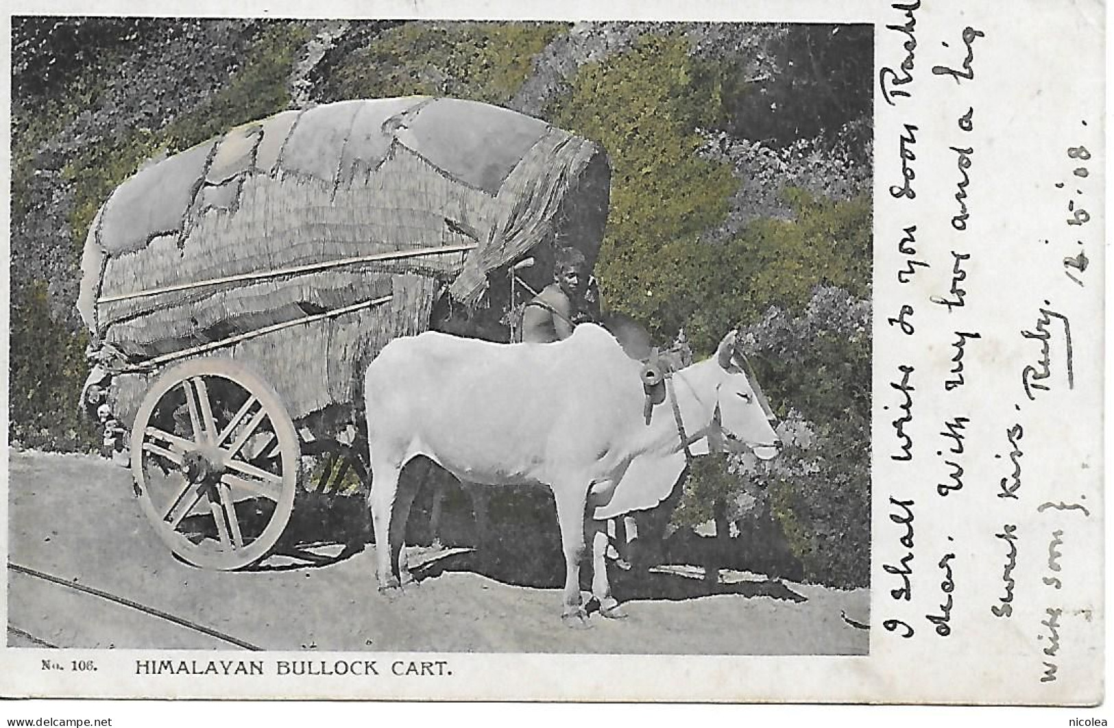 HIMALAYAN BULLOCK CART RARE CPA COLORISEE POSTEE DE DARJEELING EN 1908 CHARETTE A BOEUFS DE L'HIMALAYA 2 SCANS - Népal