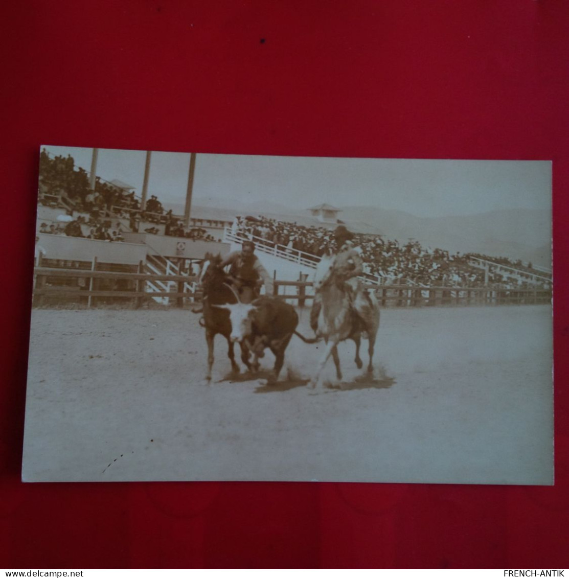 CARTE PHOTO MISSOULA STAMPEDE 1916 - Missoula