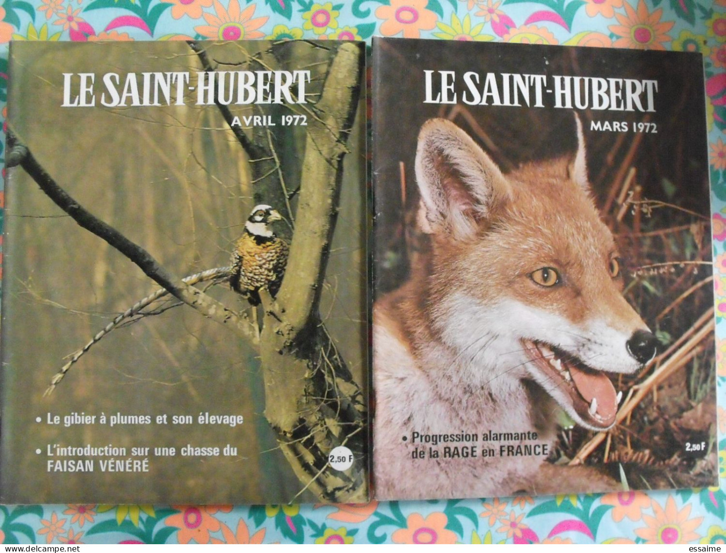 Lot De 12 Revues Le Saint Hubert De 1972. Mensuel. Chasse, Pêche. Année Complète. - Hunting & Fishing