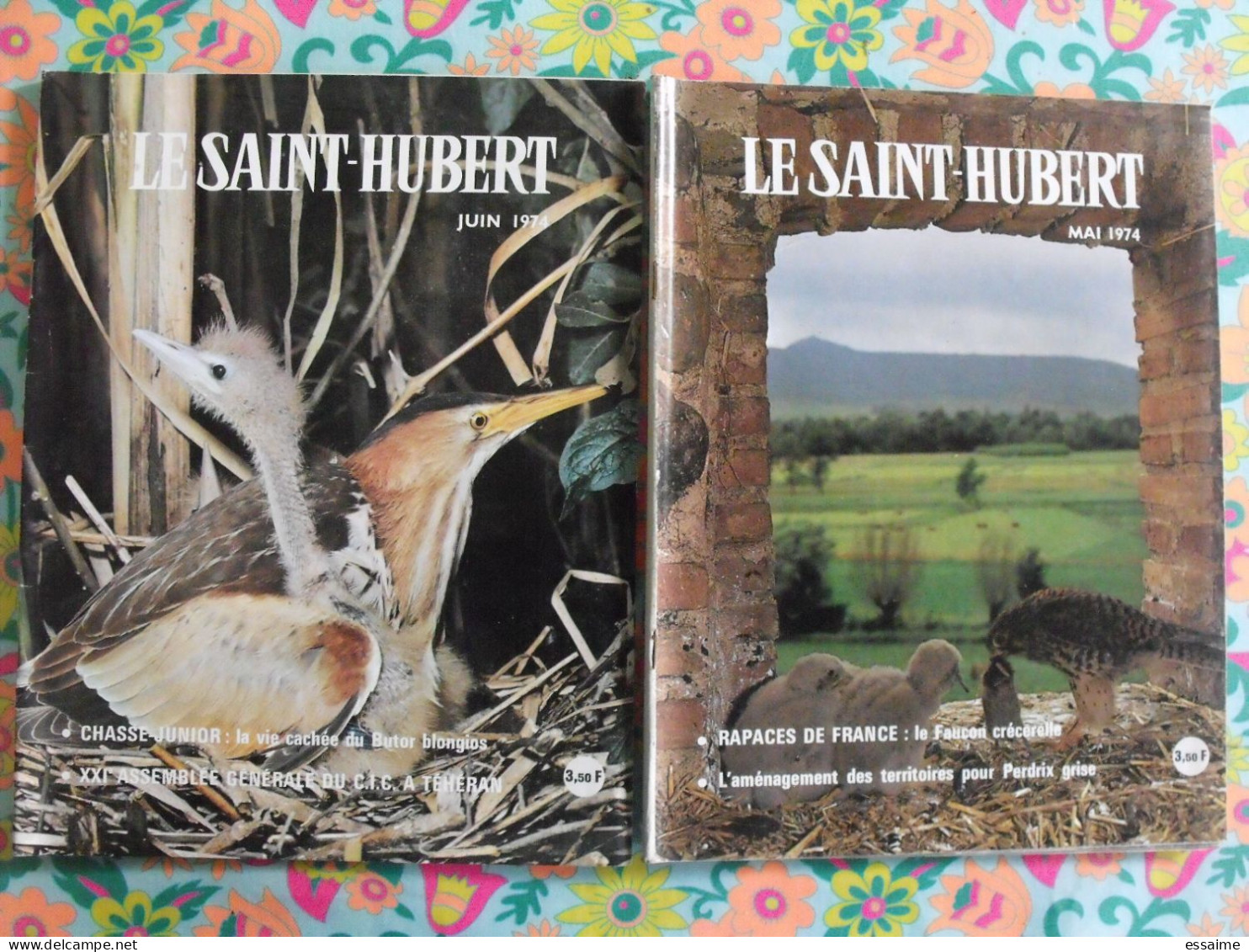 Lot De 11 Revues Le Saint Hubert De 1974. Mensuel. Chasse, Pêche. De Janvier à Novembre. - Caccia & Pesca