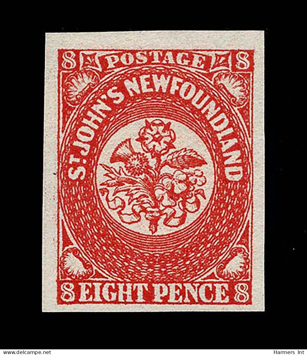 Lot # 266 Newfoundland 8 Pence Type A - Otros & Sin Clasificación