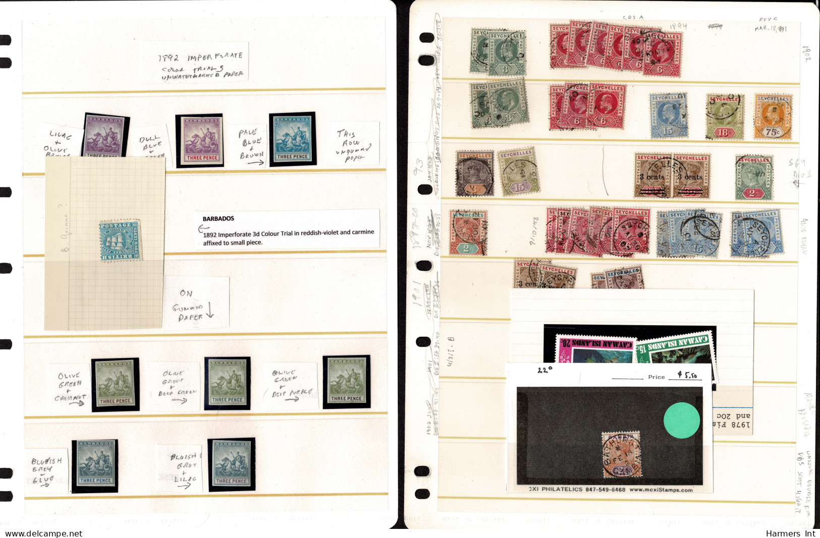 Lot # 877 British Commonwealth: Mostly 20th Century accumulation on exhibition pages or large stock pages, 290 stamps