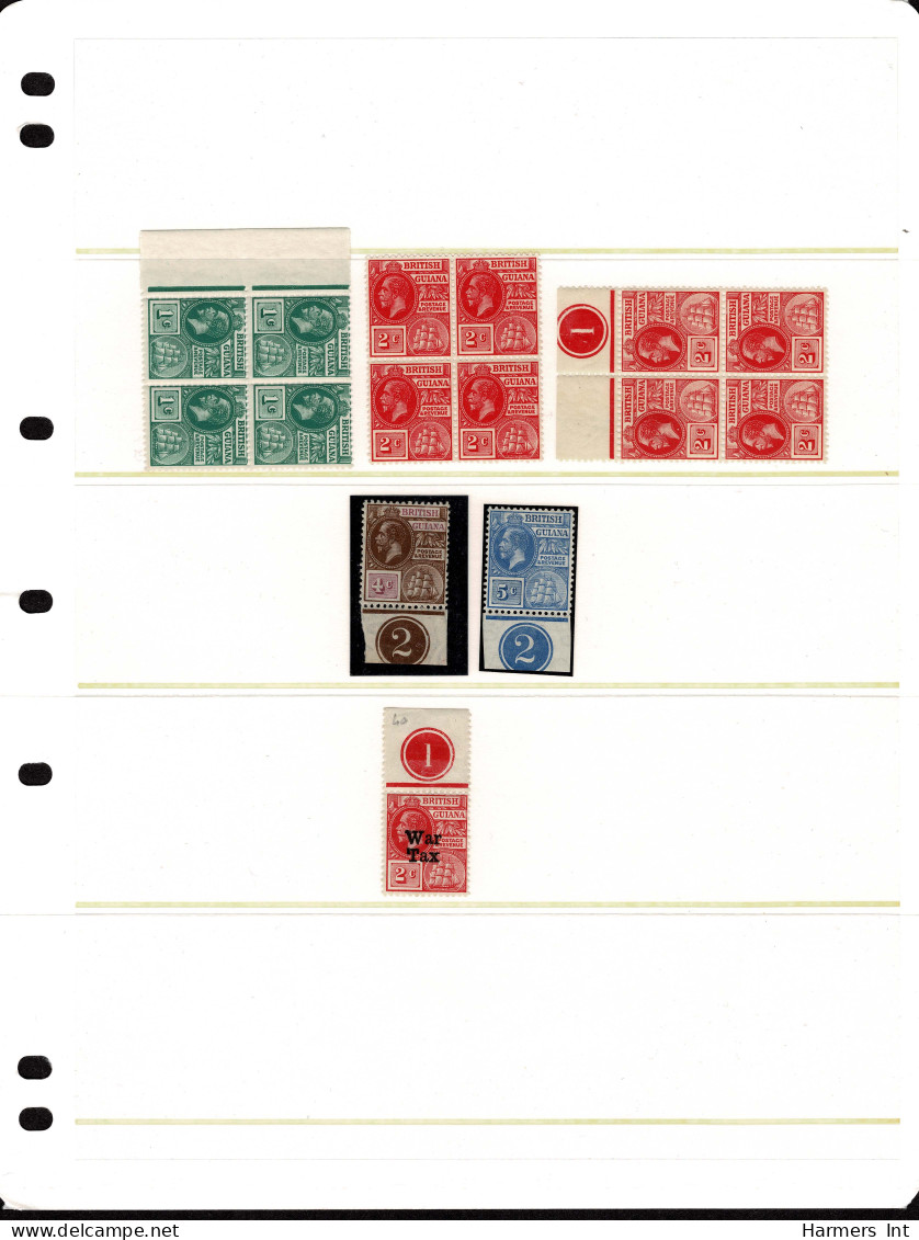 Lot # 880 British Guiana: Mostly 19th Century Accumulation On 24 Large Stock Pages, Over 700 Stamps - Colecciones (sin álbumes)