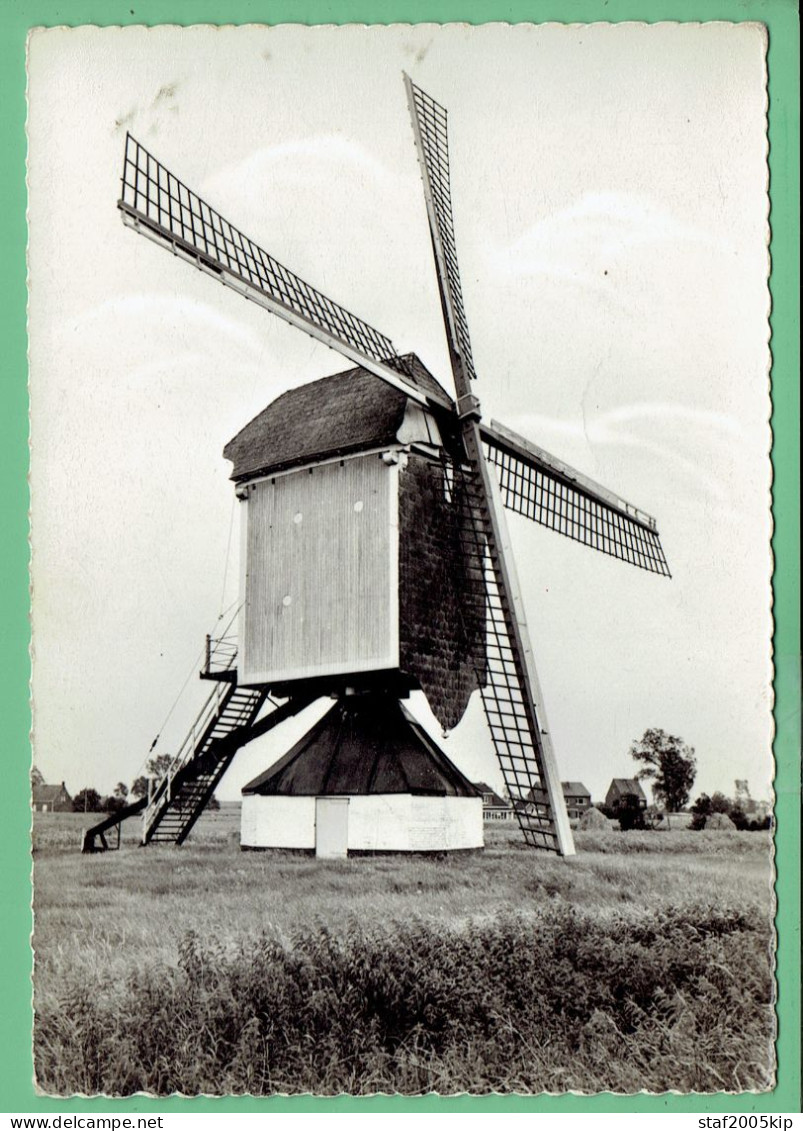 Retie - Windmolen - Echte Fotokaart - Retie