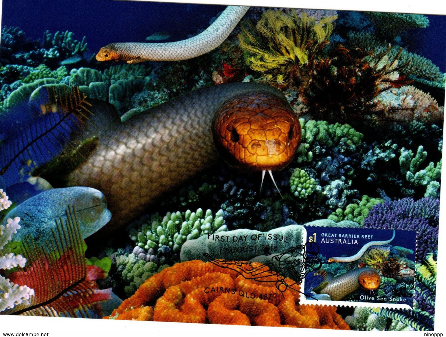 Australia 2018  Reef Safari ,Olive Sea Snakes,Maximum Card - Cartes-Maximum (CM)