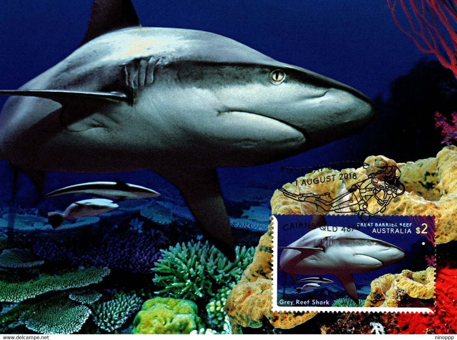 Australia 2018  Reef Safari ,Grey Reef Shark,Maximum Card - Cartes-Maximum (CM)