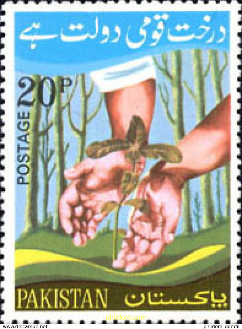 203256 MNH PAKISTAN 1974 DIA DEL ARBOL - Pakistan