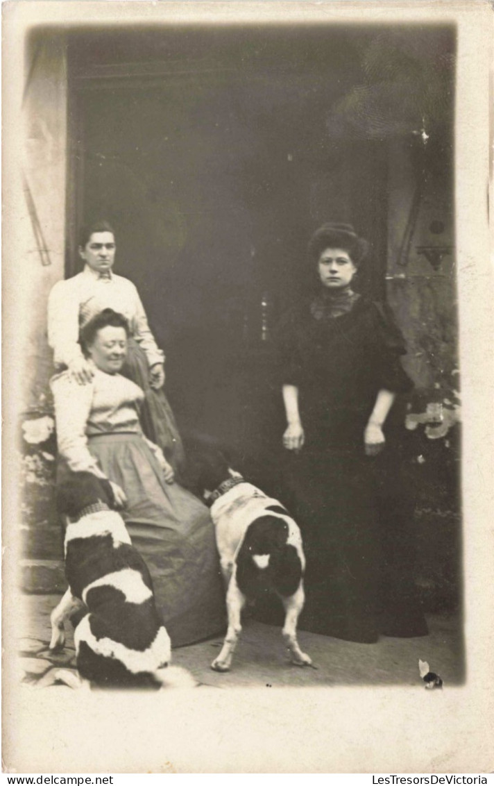 CARTE PHOTO - Des Femmes Prises En Photo Sur Le Pas De Leur Porte Avec Leurs Chiens  - Carte Postale Ancienne - Photographie