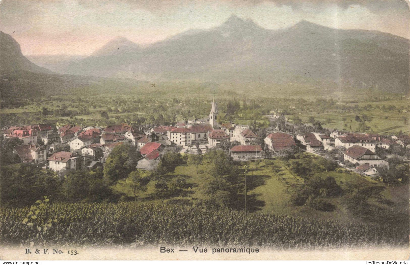 SUISSE - Vaud - Bex - Vue Panoramique - Colorisé - Carte Postale Ancienne - Bex