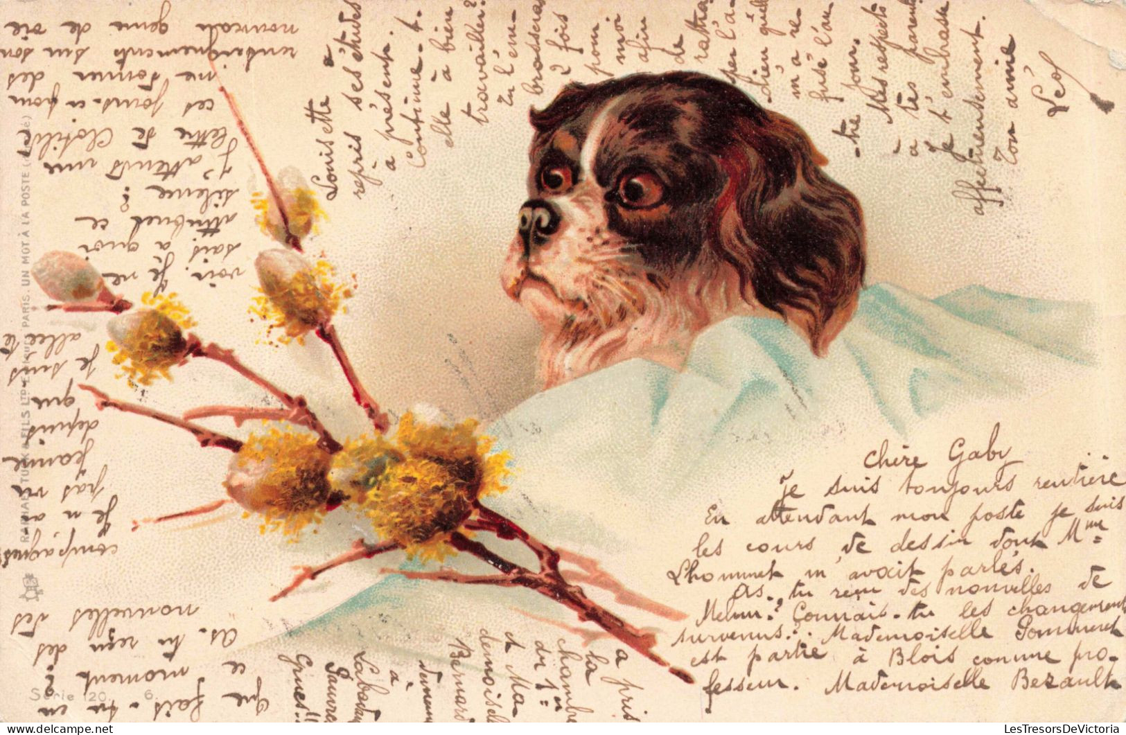 ANIMAUX - Un Petit Chiens Dans Une Couverture - Carte Postale Ancienne - Chiens