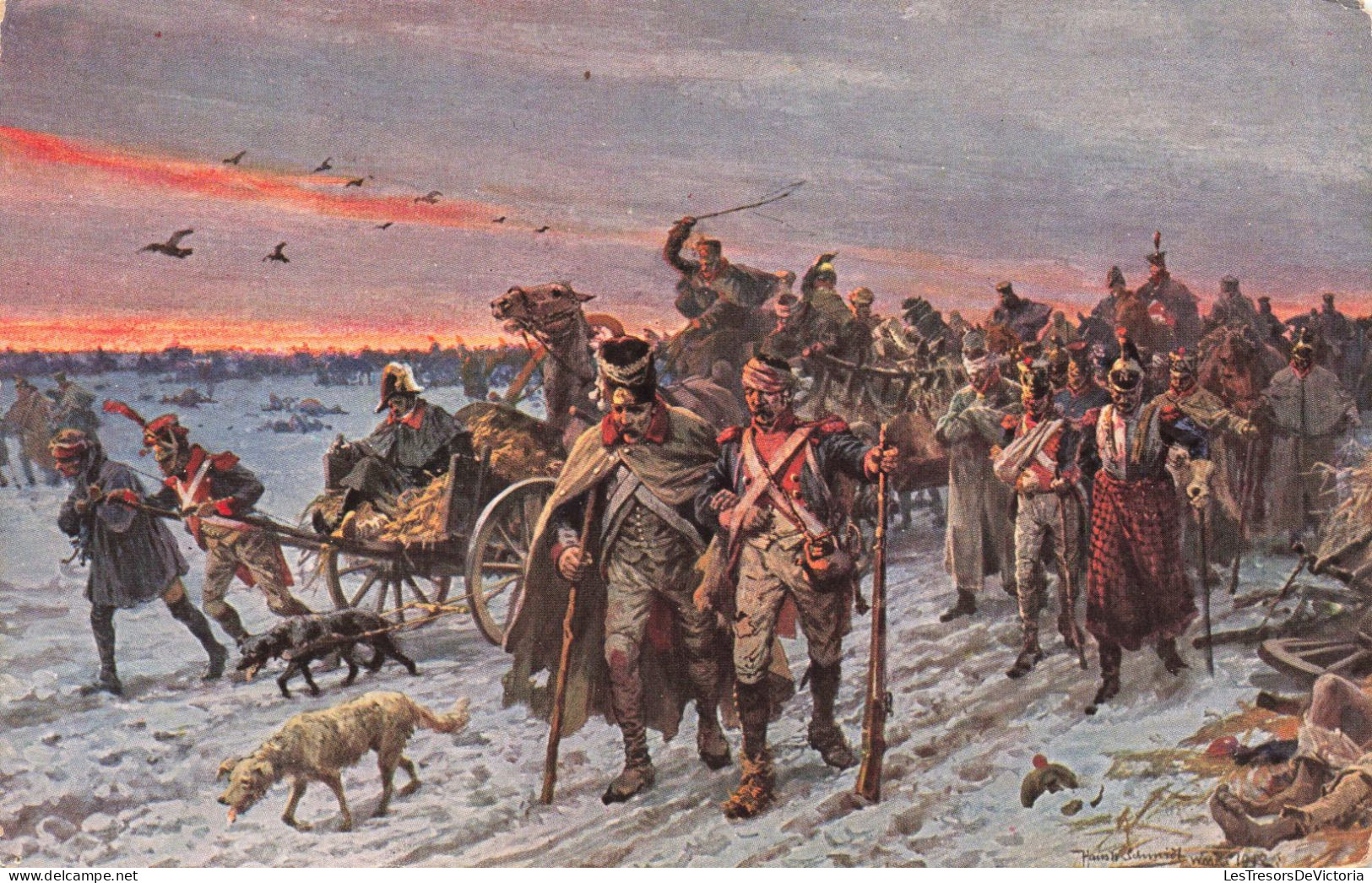 HISTOIRE - Un Champs De Bataille Et Des Soldats Allemands Blessés - Carte Postale Ancienne - History