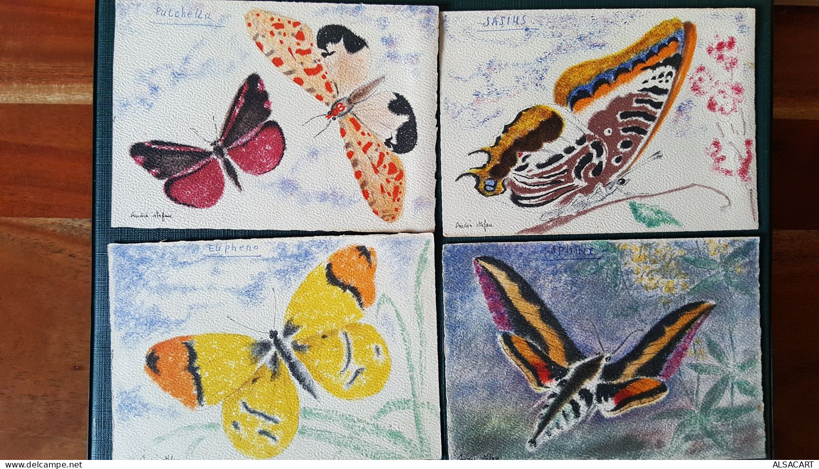 Lot De 14 Cartes De Papillons Illustrateur André Stéfan - Autres & Non Classés