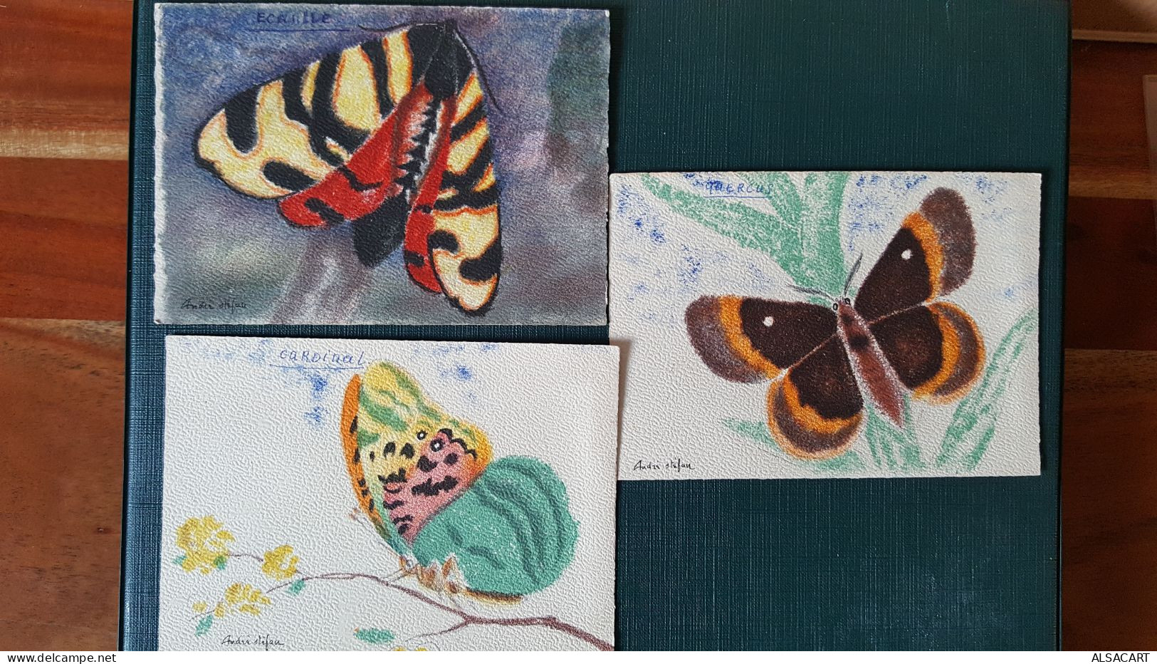 Lot De 14 Cartes De Papillons Illustrateur André Stéfan - Autres & Non Classés