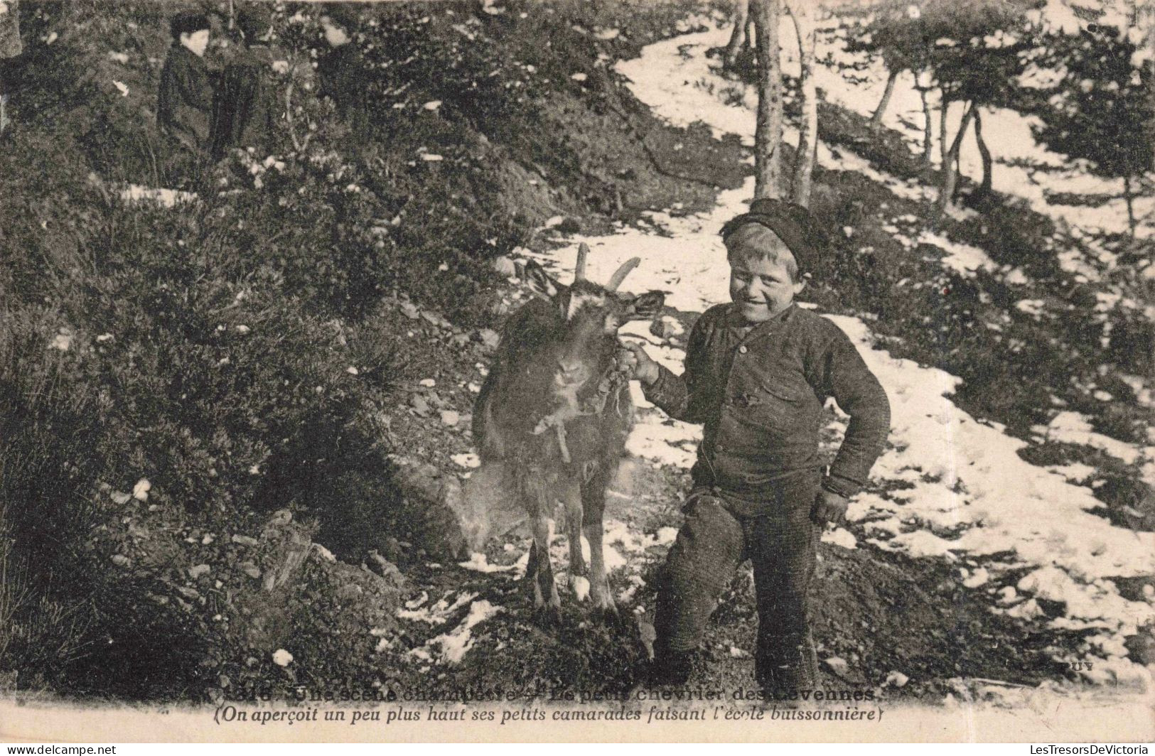 PHOTOGRAPHIE - Petit Garçon Avec Une Bique - Carte Postale Ancienne - Photographie